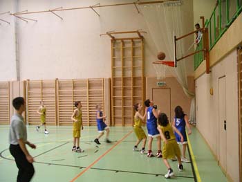 U14 Wr. Neustadt 2006